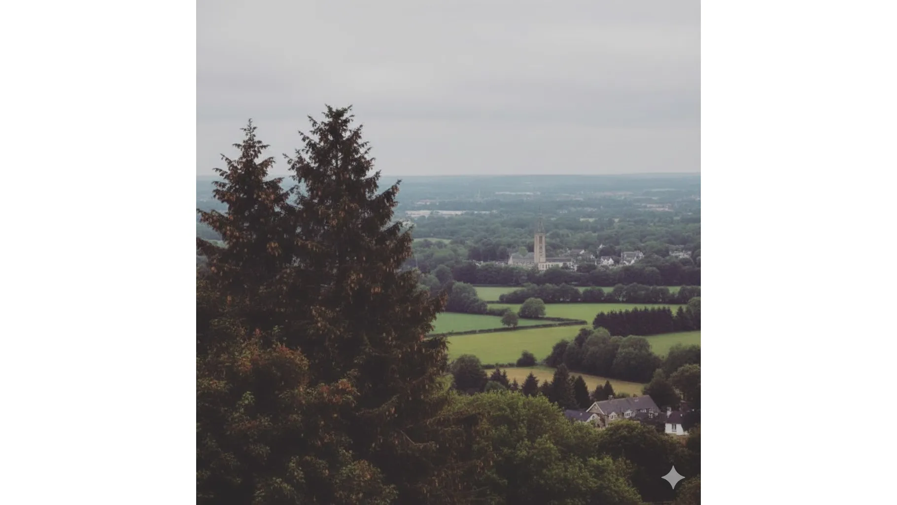 사회복지시설 이용 지원 기간 연장을 상징하는 달력 이미지